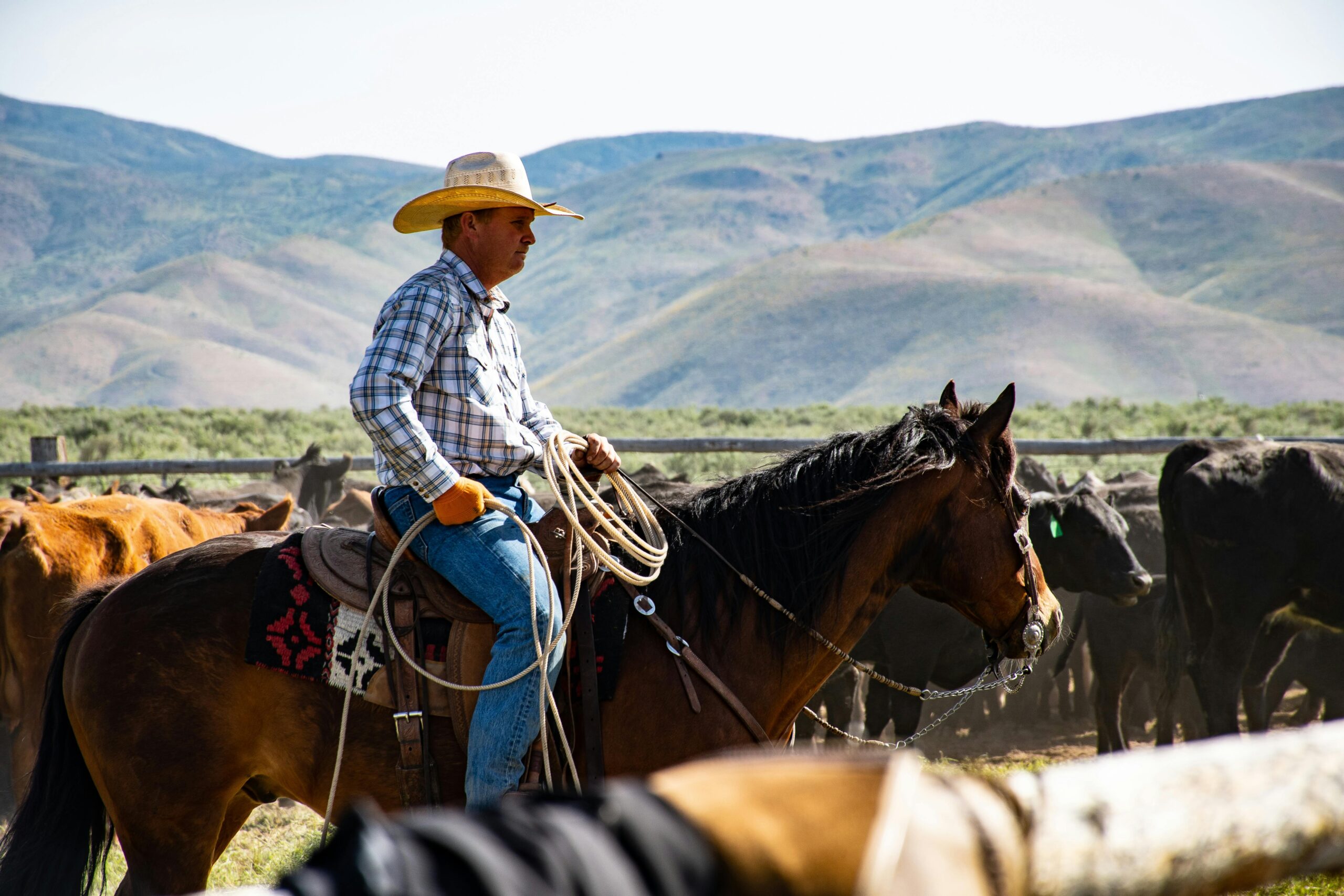 Must-Attend May 2025 Events in Heber Valley 